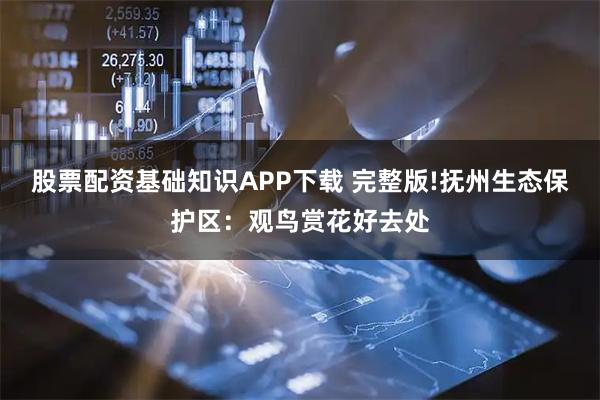 股票配资基础知识APP下载 完整版!抚州生态保护区：观鸟赏花好去处