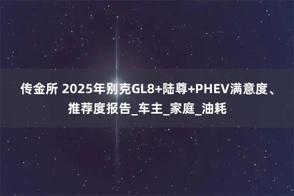 传金所 2025年别克GL8+陆尊+PHEV满意度、推荐度报告_车主_家庭_油耗