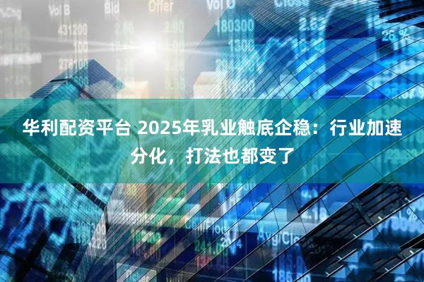 华利配资平台 2025年乳业触底企稳：行业加速分化，打法也都变了